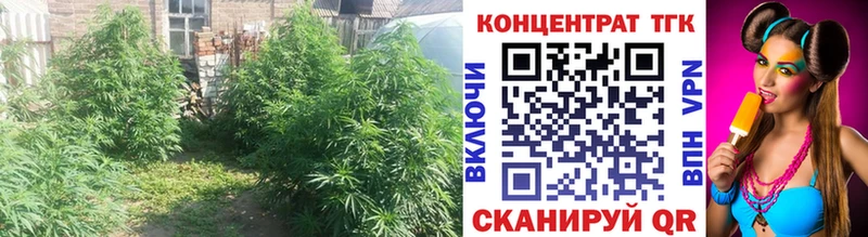 что такое   Кунгур  Дистиллят ТГК вейп с тгк 