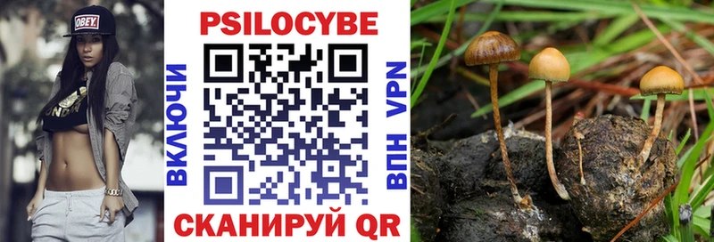 цены   Кунгур  Галлюциногенные грибы MAGIC MUSHROOMS 