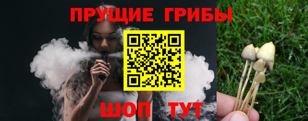 купить закладку  Вход с VPN  Кунгур  Галлюциногенные грибы мицелий 